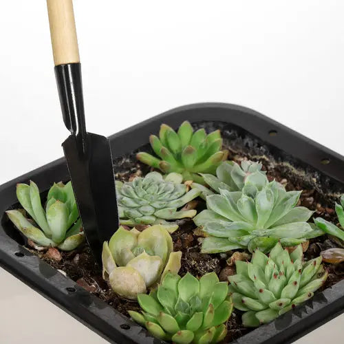 3 Piece Gardening Tool Set Mini Wood Handle Shovel Trowel