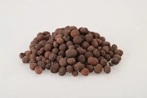 350g Leca Clay Pebbles for Plants