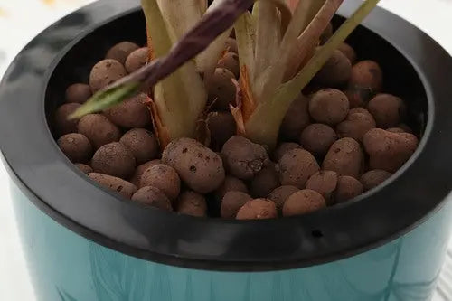 350g Leca Clay Pebbles for Plants