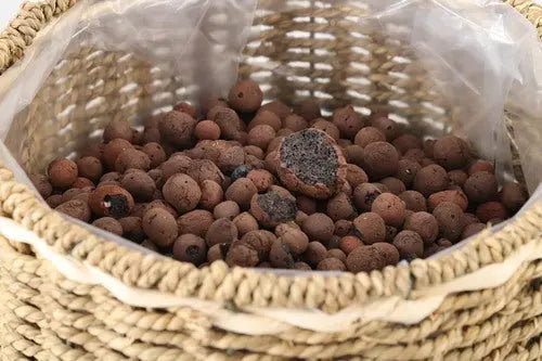 350g Leca Clay Pebbles for Plants
